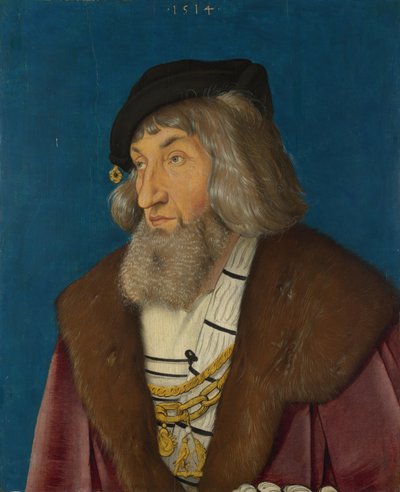 Ritratto di un uomo da Hans Baldung Grien